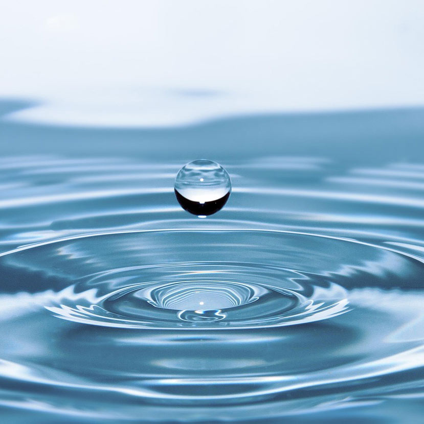 goutte